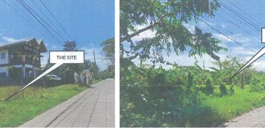 Foreclosed Residential Lot in Tiaong, Quezon – Greenville Subd. (PDIC)