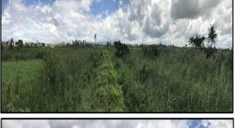 Foreclosed Residential Lot in Canaman, Camarines Sur – Leticia Heights Subd. · Lot 12 Blk 13 (PDIC)