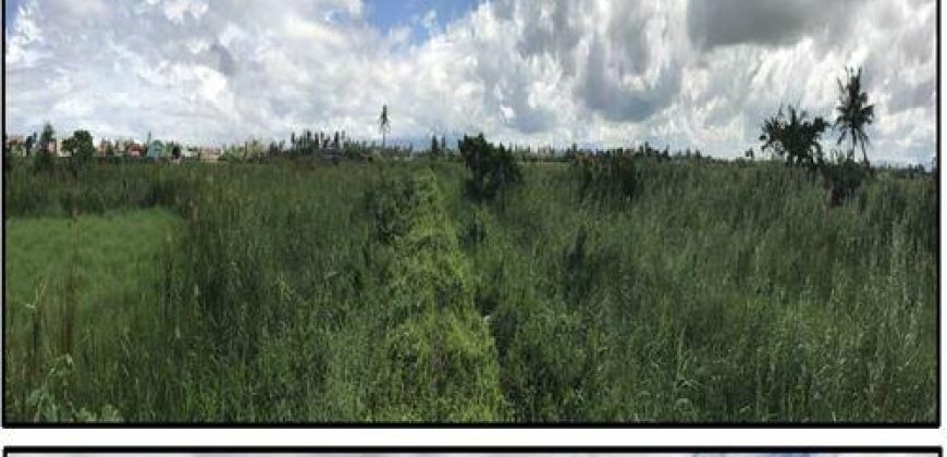 Foreclosed Residential Lot in Canaman, Camarines Sur – Leticia Heights Subd. · Lot 12 Blk 13 (PDIC)