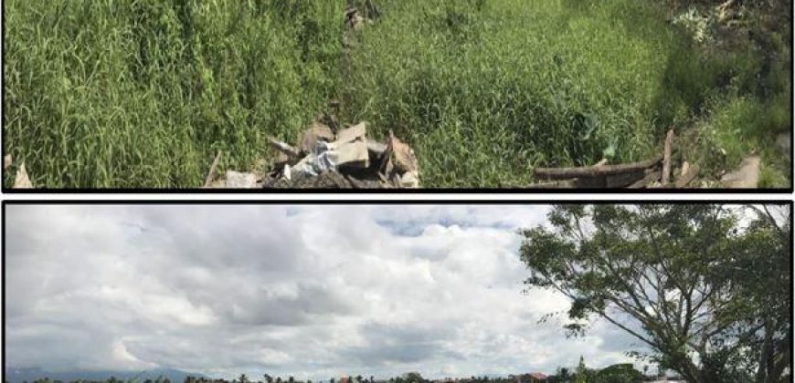 Foreclosed Residential Lot in Canaman, Camarines Sur – Leticia Heights Subd. · Lot 3 Blk 14 (PDIC)