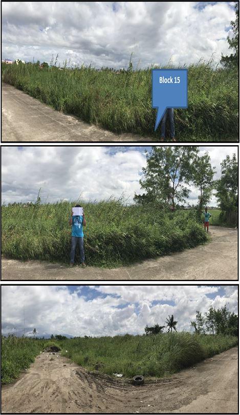 Foreclosed Residential Lot in Canaman, Camarines Sur