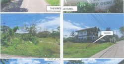 Foreclosed Residential Lot in Tiaong, Quezon · Lot 21 Blk. 5 (PDIC)