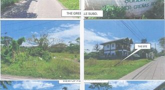 Foreclosed Residential Lot in Tiaong, Quezon · Lot 21 Blk. 5 (PDIC)