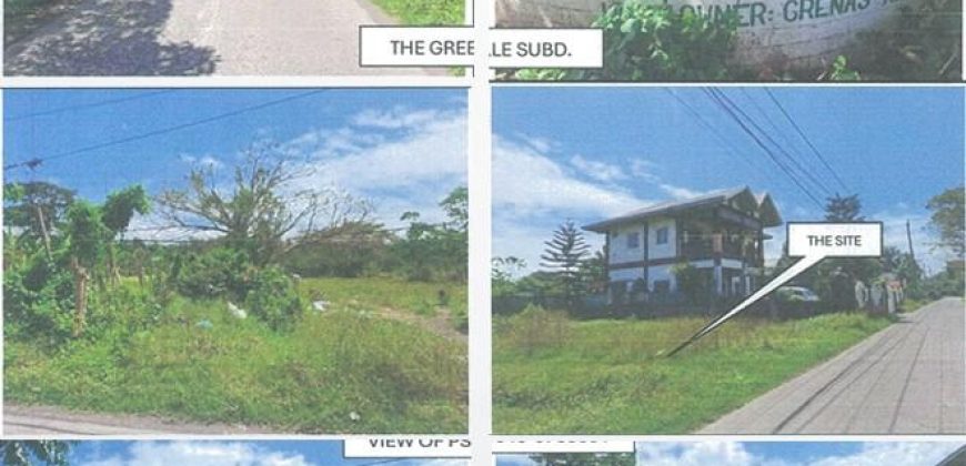Foreclosed Residential Lot in Tiaong, Quezon · Lot 21 Blk. 5 (PDIC)