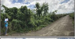 Foreclosed Residential Lot in Canaman, Camarines Sur – Leticia Heights Subd. · Lot 2 Blk 16 (PDIC)