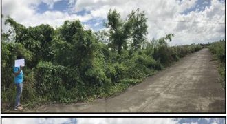 Foreclosed Residential Lot in Canaman, Camarines Sur – Leticia Heights Subd. · Lot 2 Blk 16 (PDIC)