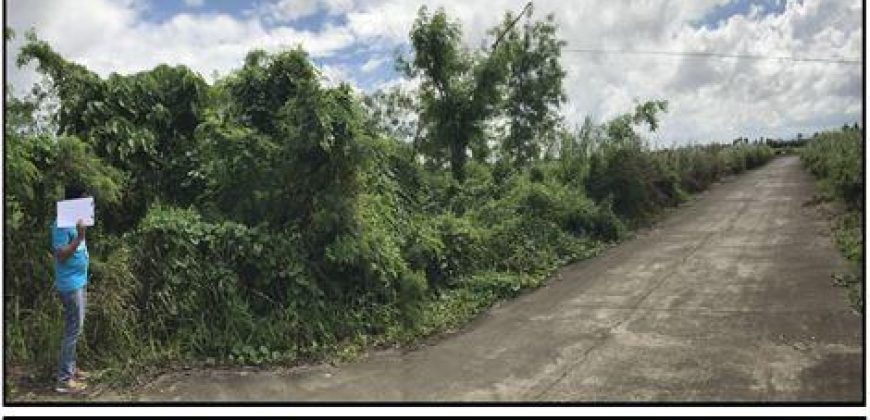 Foreclosed Residential Lot in Canaman, Camarines Sur – Leticia Heights Subd. · Lot 2 Blk 16 (PDIC)