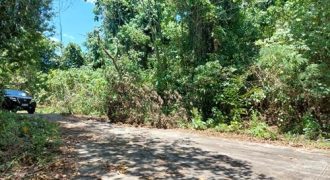 Foreclosed Residential Lot in Kaputian, Davao del Norte – Island Garden City of Samal (Metrobank)