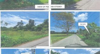 Foreclosed Residential Lot in Tiaong, Quezon · Lot 11 Blk. 5 (PDIC) #2