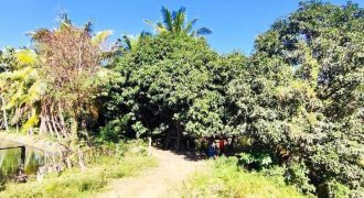 Foreclosed House and Lot in Cordon, Isabela (Metrobank)