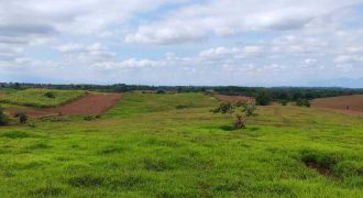 Foreclosed Residential Lot in Echague, Isabela