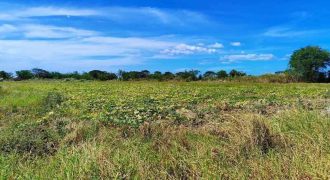 Foreclosed Agricultural Lot in San Jose, Occidental Mindoro