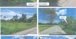 Foreclosed Residential Lot in Tiaong, Quezon · Lot 15 Blk. 6 (PDIC)