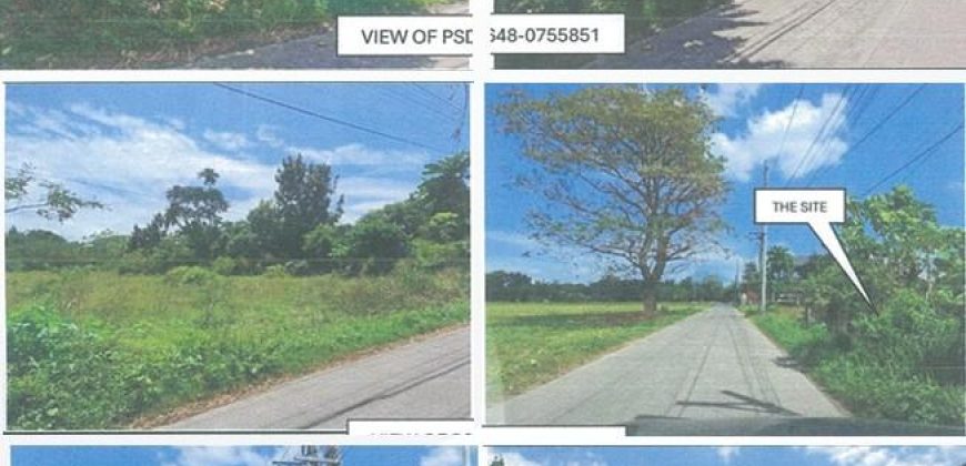 Foreclosed Residential Lot in Tiaong, Quezon · Lot 17 Blk. 2 (PDIC)