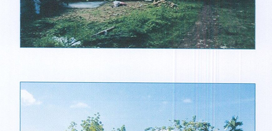 Foreclosed Residential Lot in Daraga, Albay