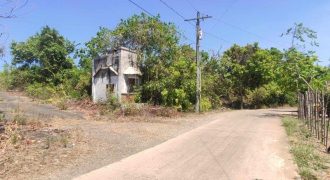 Foreclosed Agricultural Lot in Sual, Pangasinan