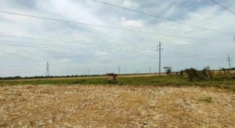 Foreclosed Farm Property in Cabanatuan City