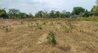 Foreclosed Residential Lot in Cabanatuan City