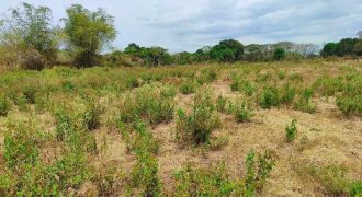 Foreclosed Residential Lot in Cabanatuan City