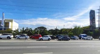 Foreclosed Agricultural Lot in San Fernando City, Pampanga – Olongapo-Gapan Road Brgy. San Jose (Metrobank)