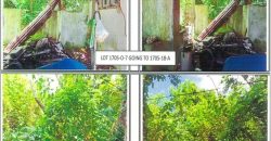 Foreclosed Residential Lot in Pila, Laguna · Lot 1705-O-18-A (PDIC)