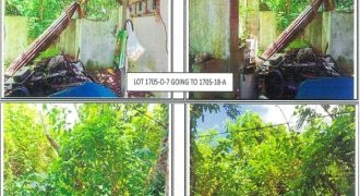 Foreclosed Residential Lot in Pila, Laguna · Lot 1705-O-18-A (PDIC)