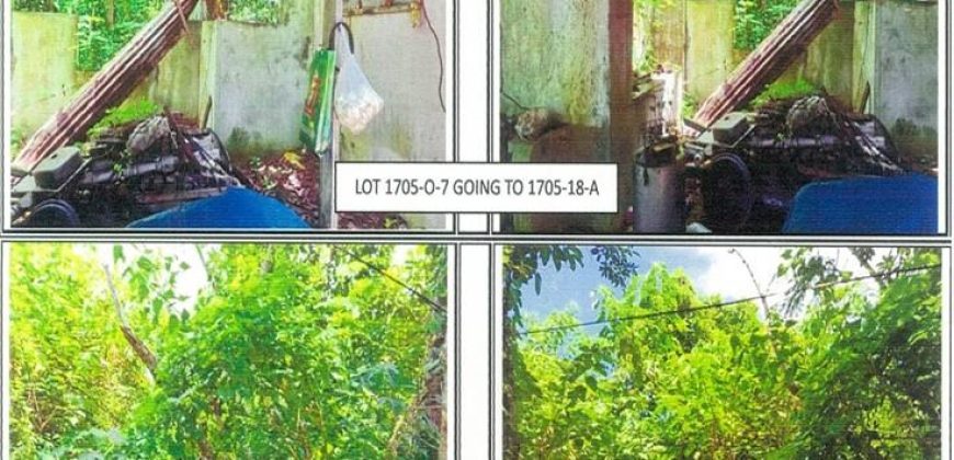 Foreclosed Residential Lot in Pila, Laguna · Lot 1705-O-18-A (PDIC)