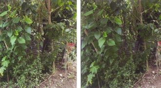 Foreclosed Residential Lot in Batangas · Lot 8 (PDIC)