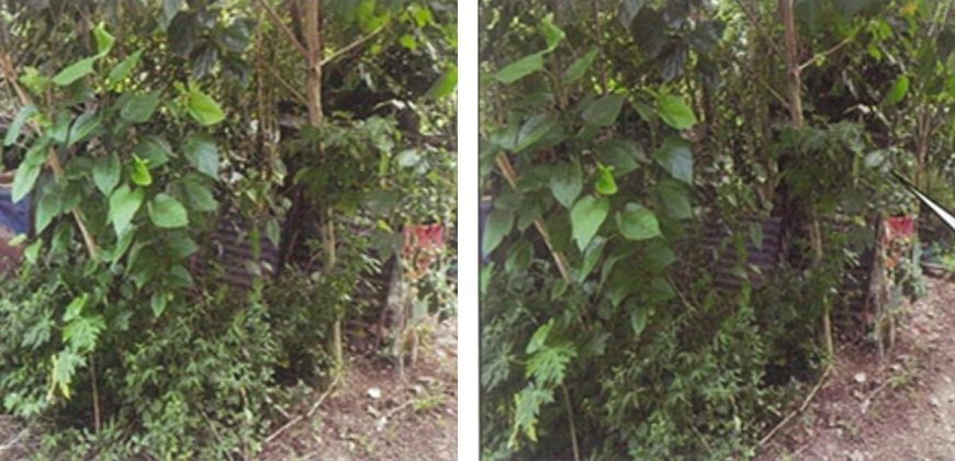 Foreclosed Residential Lot in Batangas · Lot 8 (PDIC)