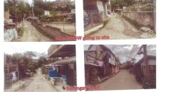 Foreclosed Agricultural Lot in Minglanilla, Cebu (PDIC)