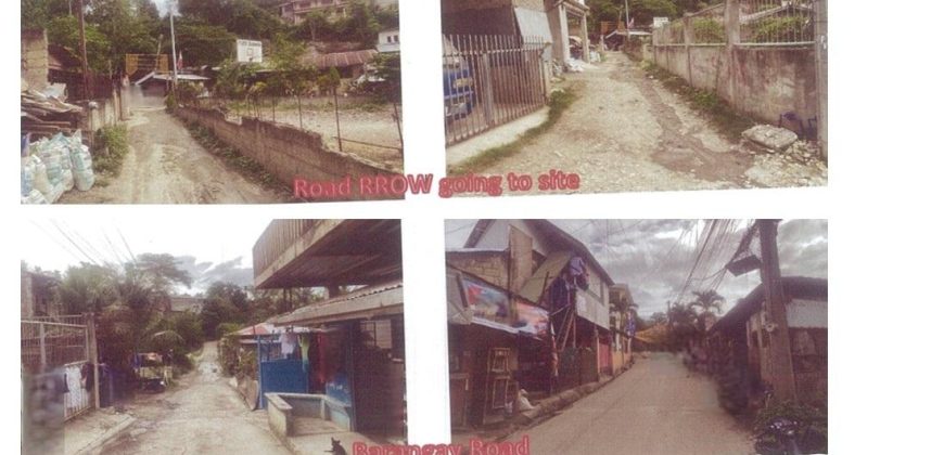 Foreclosed Agricultural Lot in Minglanilla, Cebu (PDIC)