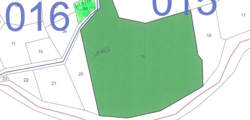 Foreclosed Agricultural Lot in Bauan, Batangas · Lot 4422 (PDIC)