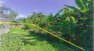 Foreclosed Property in Malilipot, Albay (PDIC)
