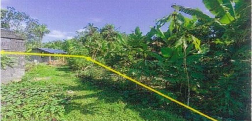 Foreclosed Property in Malilipot, Albay (PDIC)