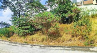 Foreclosed Residential Lot in Subic, Zambales