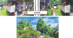 Foreclosed Property in Los Banos, Laguna – Sta. Rita Subd. (PDIC)