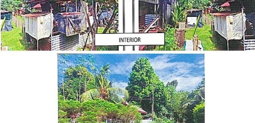Foreclosed Property in Los Banos, Laguna – Sta. Rita Subd. (PDIC)