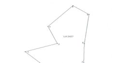 Foreclosed Agricultural Lot in Bacacay, Albay (PDIC)