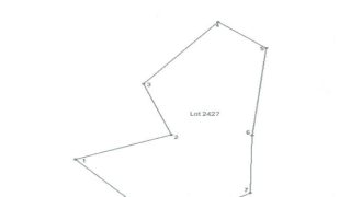 Foreclosed Agricultural Lot in Bacacay, Albay (PDIC)