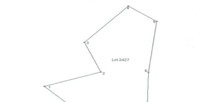 Foreclosed Agricultural Lot in Bacacay, Albay (PDIC)