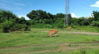 Foreclosed Residential Lot in Iloilo City – National Road · Lot 3807-C-2-A (Metrobank)