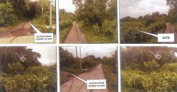 Foreclosed Agricultural Lot in San Juan, Metro Manila · Lot 1 (PDIC)