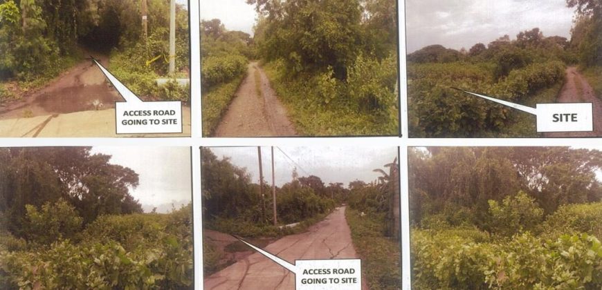 Foreclosed Agricultural Lot in San Juan, Metro Manila · Lot 1 (PDIC)