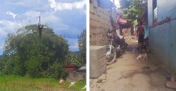 Foreclosed Property in Taal, Batangas (PDIC)