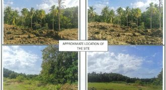 Foreclosed Agricultural Lot in Alcantara, Romblon (PDIC)