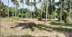 Foreclosed Agricultural Lot in Zamboanguita, Negros Oriental