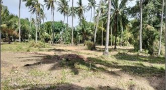 Foreclosed Agricultural Lot in Zamboanguita, Negros Oriental