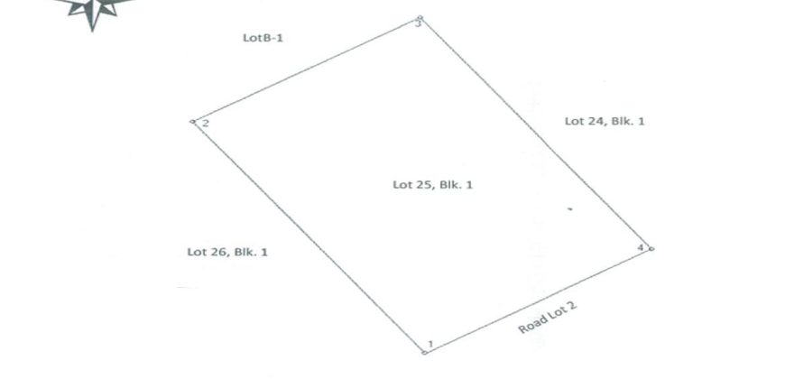 Foreclosed Residential Lot in Antipolo, Rizal – Pine City Executive Village (PDIC)