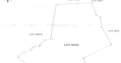 Foreclosed Agricultural Lot in Lumban, Laguna (PDIC)