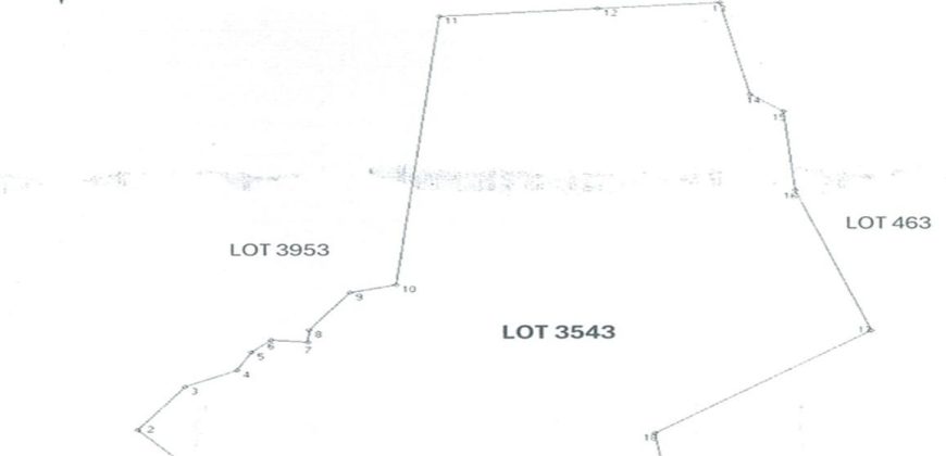 Foreclosed Agricultural Lot in Lumban, Laguna (PDIC)